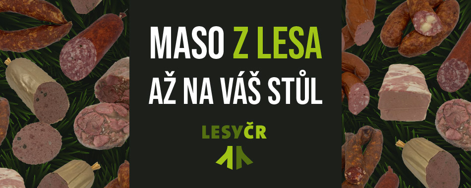 Maso z lesa