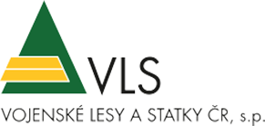 VLS logo